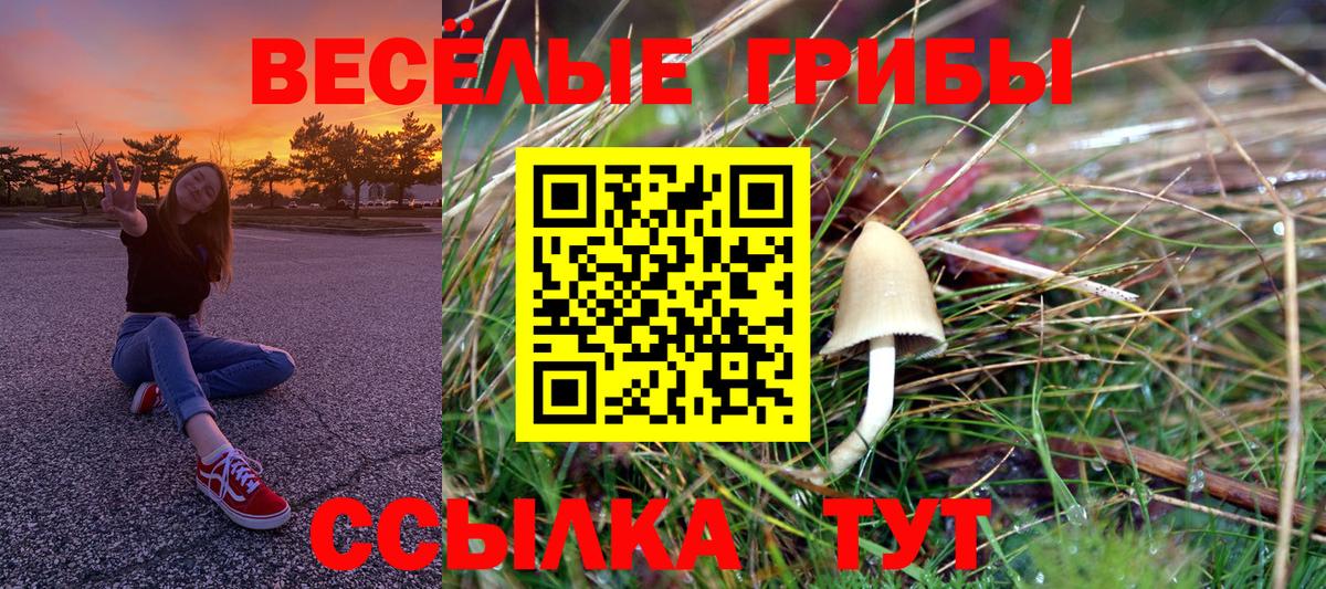 Псилоцибиновые грибы GOLDEN TEACHER Кингисепп